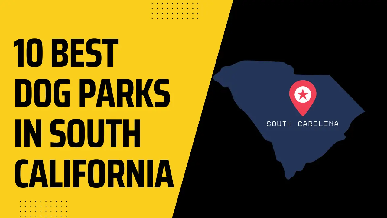 Best Dog Parks in North and South California