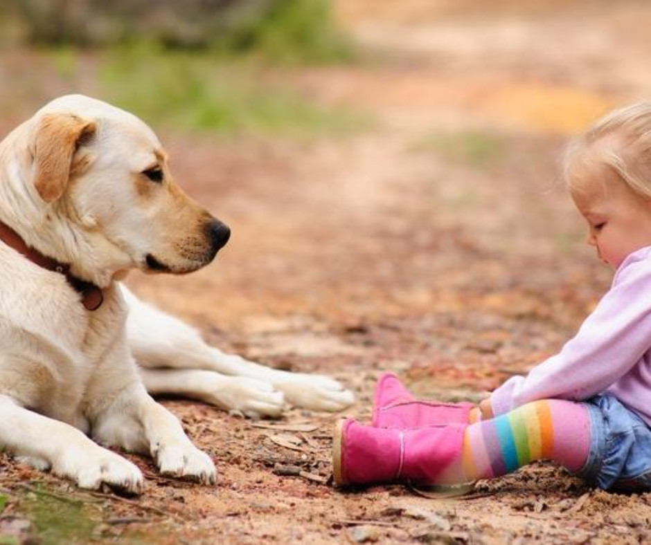 Child w yellow lab kingsley blog