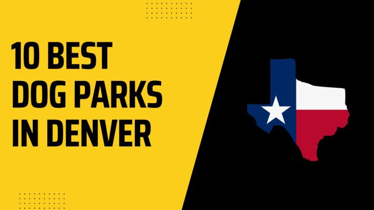 10 Best Dog Parks In Colorado/Denver