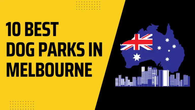 10 Best Dog Parks In Melbourne