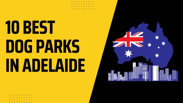 10 Best Dog Parks In Adelaide