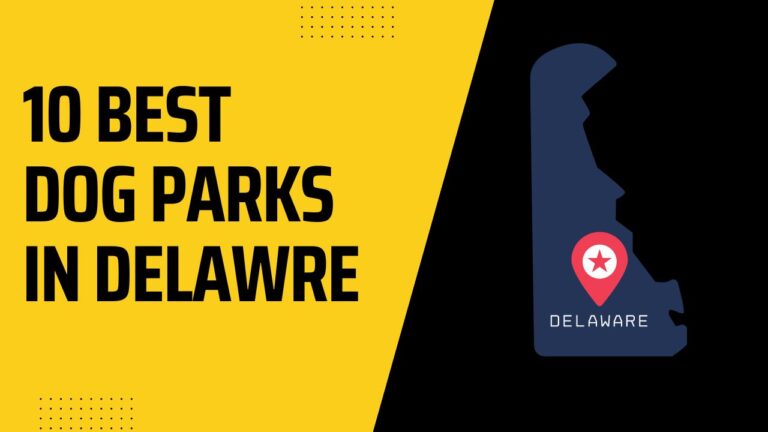 10 Best Dog Parks In Delaware