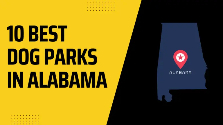 20 Best Dog Parks In Alabama