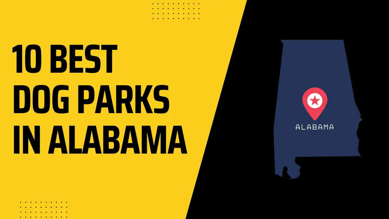Best Dog Parks In Alabama
