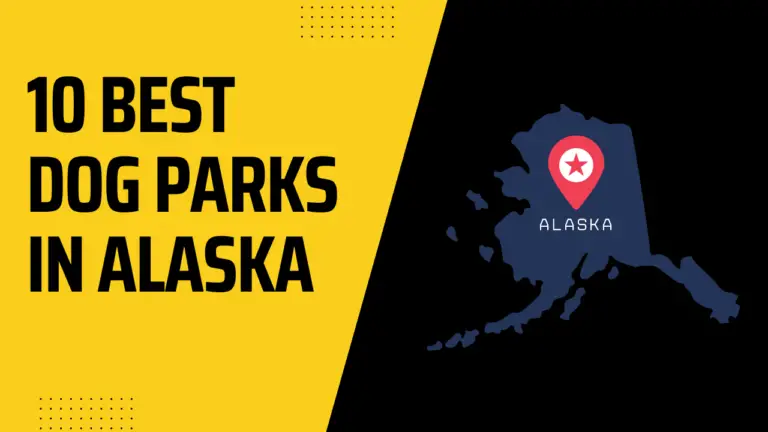 5 Best Dog Parks In Alaska State
