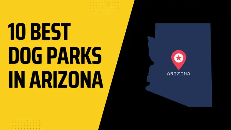 5 Best Dog Parks In Arizona