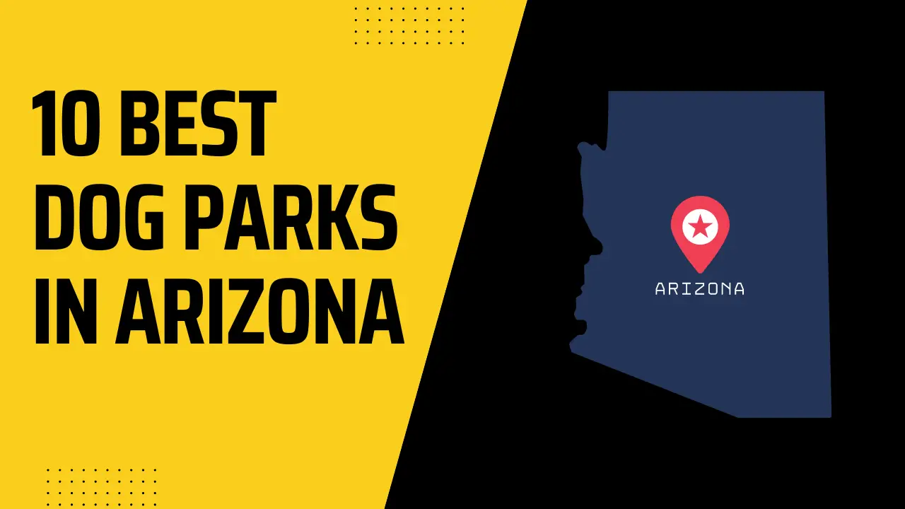 Best Dog Parks In Arizona