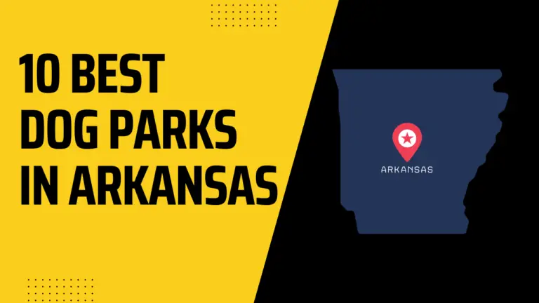 10 Best Dog Parks in Arkansas