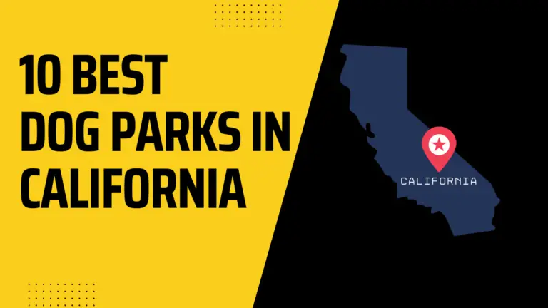 5 Best Dog Parks In California