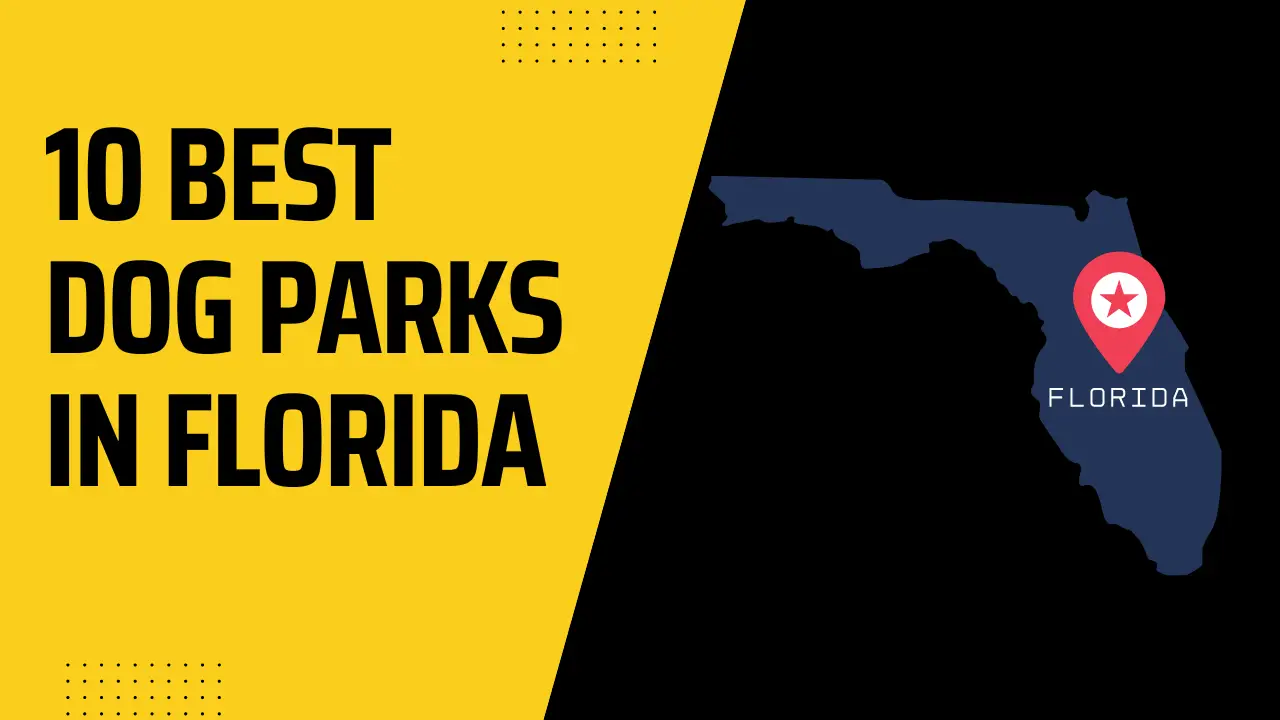Best Dog Parks In Florida