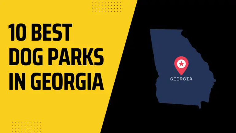 5 Best Dog Parks in Georgia