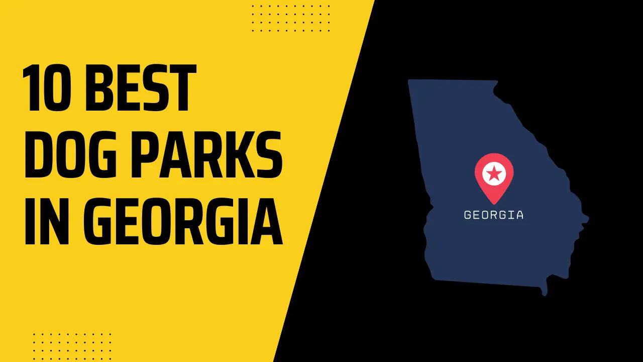 Best Dog Parks in Georgia