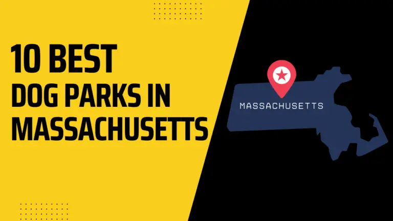 10 Best Dog Parks In Massachusetts