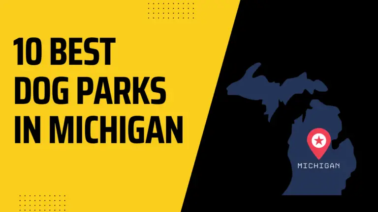 10 Best Dog Parks In Michigan