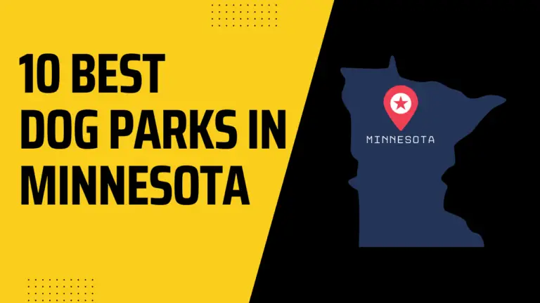 10 Best Dog Parks In Minnesota