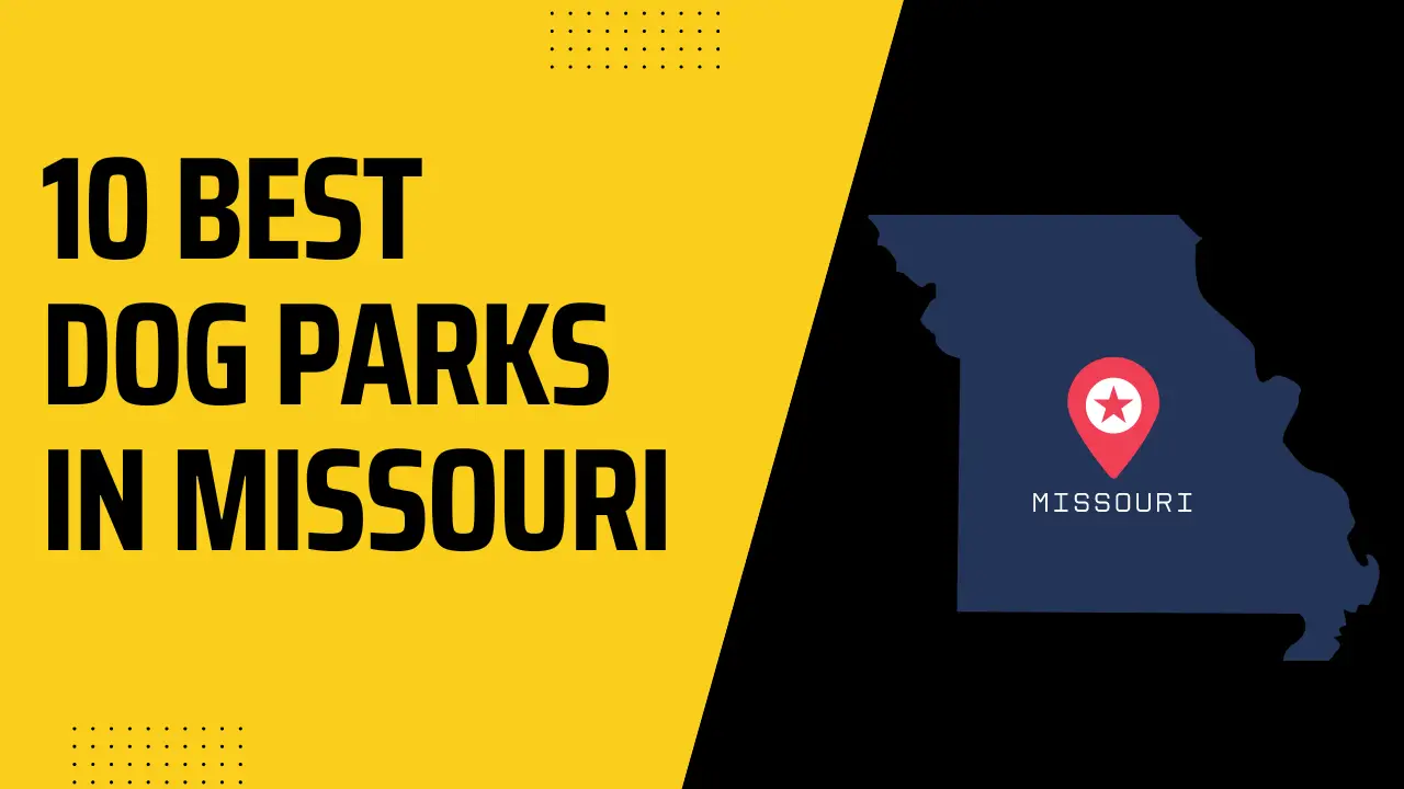 Best Dog Parks In Missouri