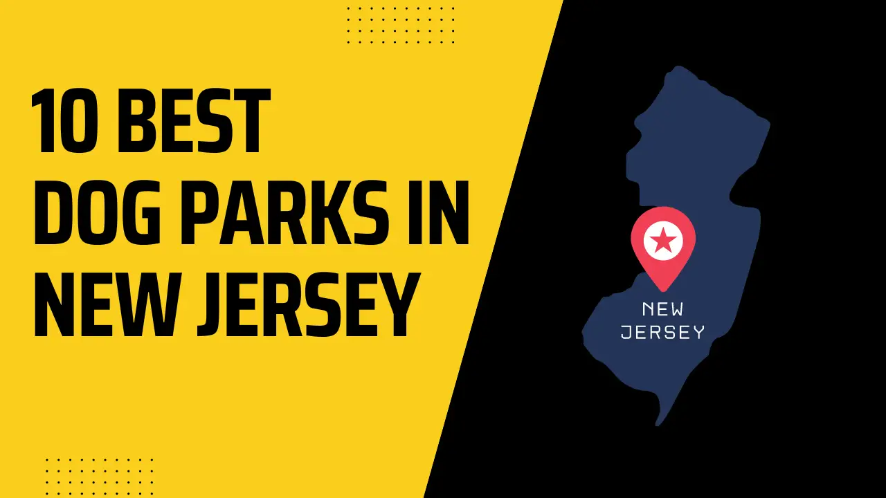 Dog Parks In New Jersey