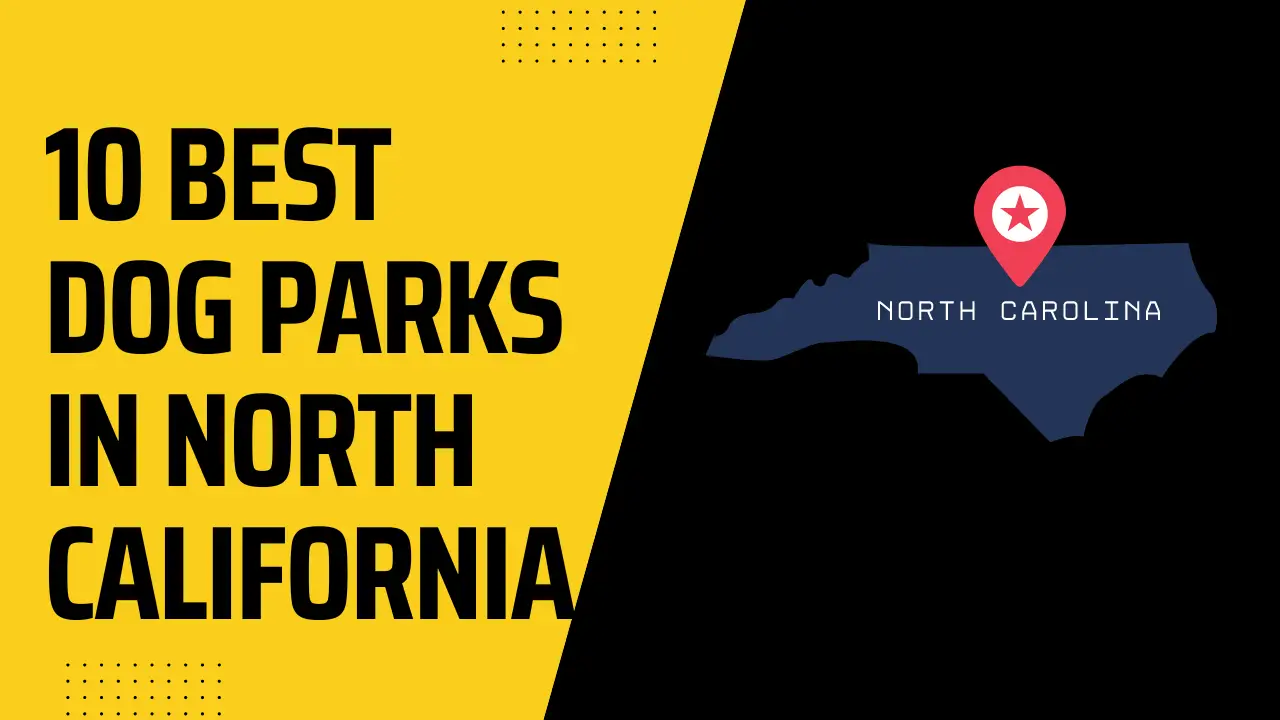 Best Dog Parks in North and South California