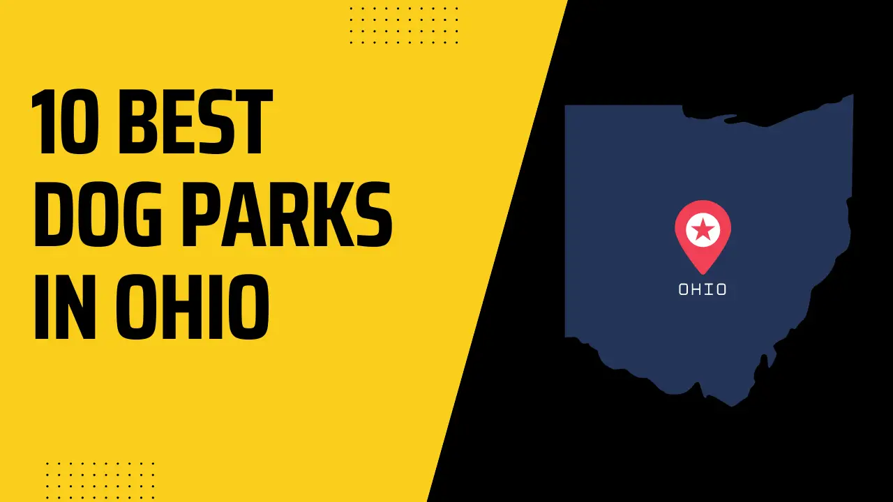 Best Dog Parks In Ohio