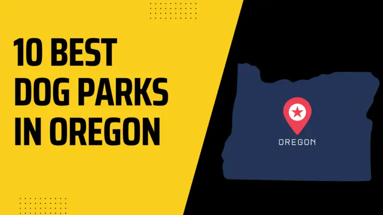 15 Best Dog Parks In Oregon