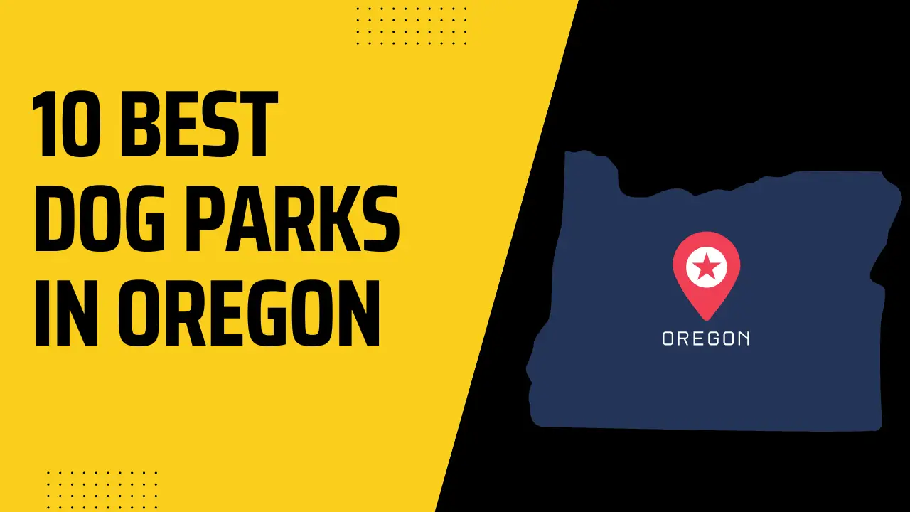 Best Dog Parks in Oregon