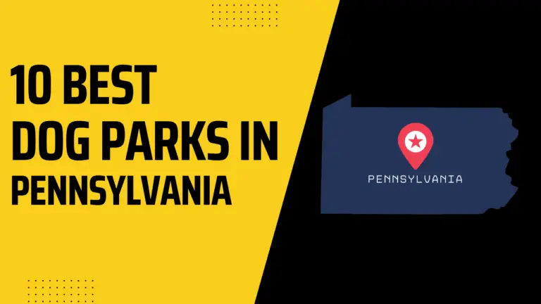 10 Best Dog Parks In Pennsylvania