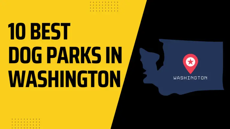 20 Best Dog Parks In Washington DC State