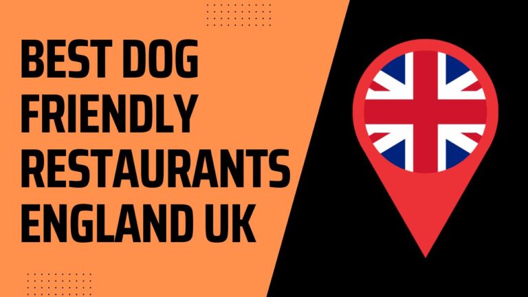 8 Best Dog Friendly Restaurants In England (UK)