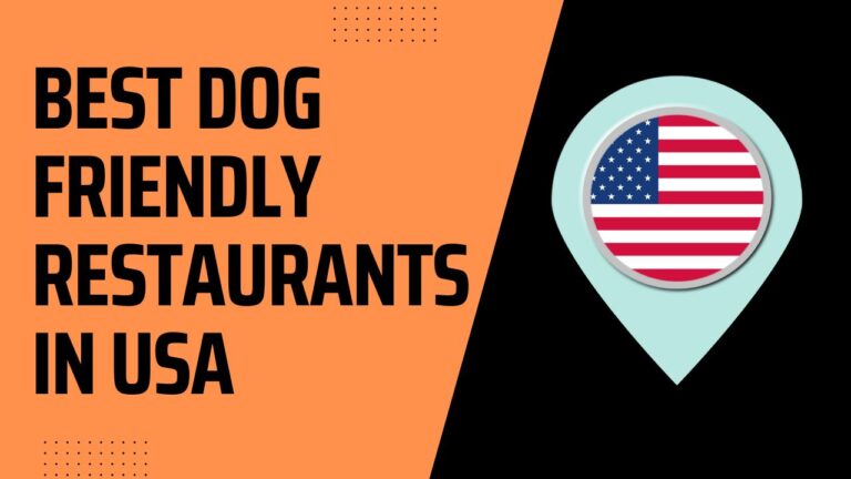 12 Best Dog Friendly Restaurants In USA